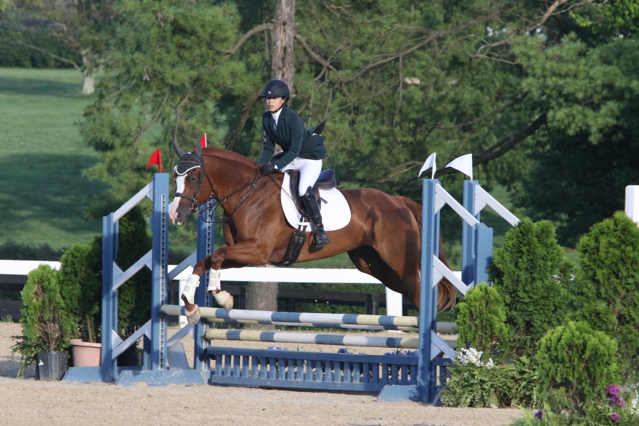 girl on a horse jumping over an obstacle